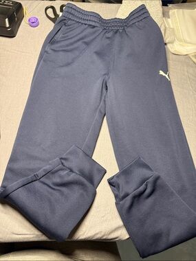 Puma Navy Blue Jogger Pants